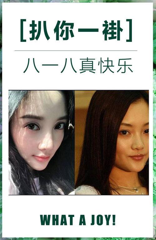 娱乐圈谁没黑历史,揭秘无黑历史明星阵容