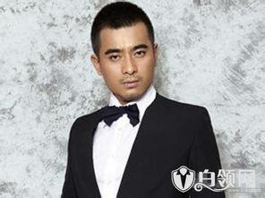 陈龙简历 资料个人资料,从学术精英到行业翘楚的蜕变之路