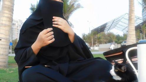 娱乐吃瓜君打底裤,揭秘打底裤界的时尚潮流与趣味故事