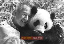 娱乐王国熊猫,揭秘熊猫世界的欢乐盛宴