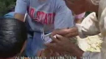 外婆的家幕后花絮,幕后温情瞬间,揭秘亲情背后的感人故事